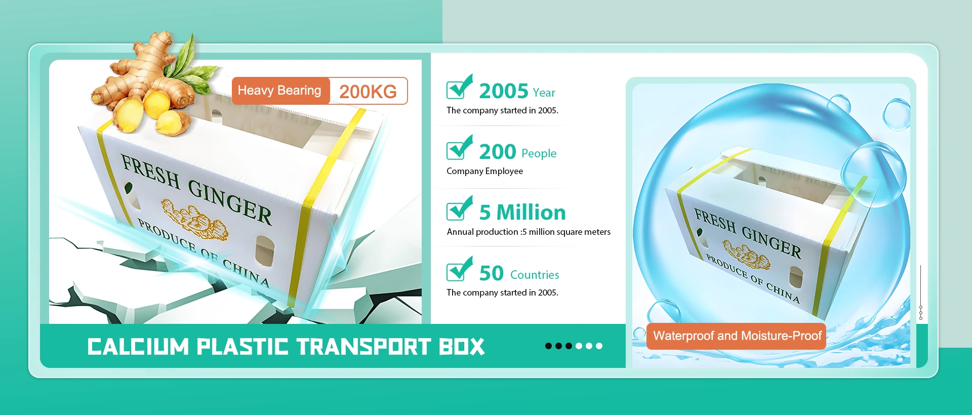 Kiinan kalsium muovikuljetuslaatikon valmistaja